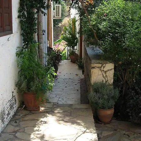 Vine Grove * كالكان