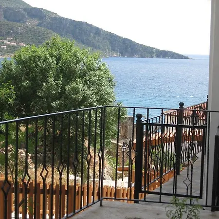 Vine Grove كالكان