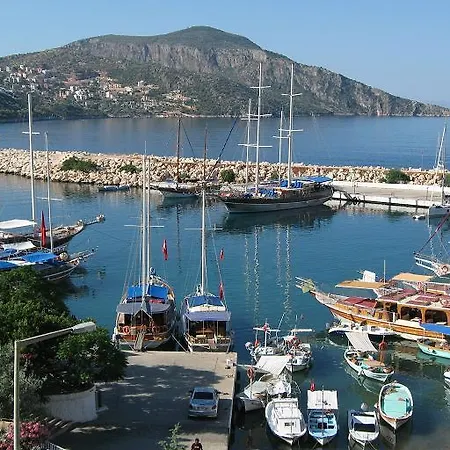Vine Grove شقة كالكان